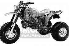 Honda ATC250R 1985 USA