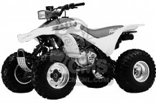 Honda fourtrax 250x performance parts #3