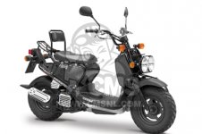 Honda ZOOMER