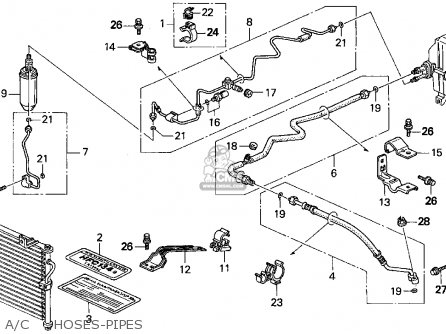 1995 Honda accord parts schematic #6