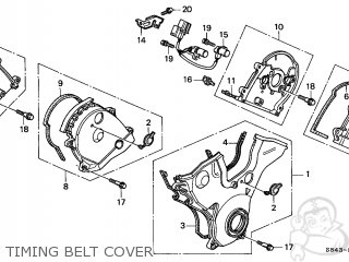 1999 Honda accord lx timing belt #3