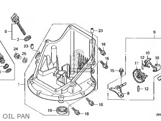 Honda Gcv Oil Seal Replacement Honda Engine Oil Leak Repa