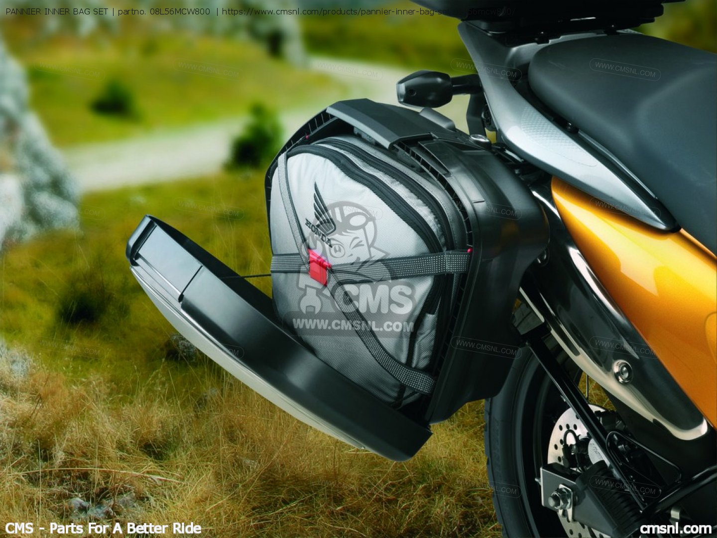 honda blackbird panniers