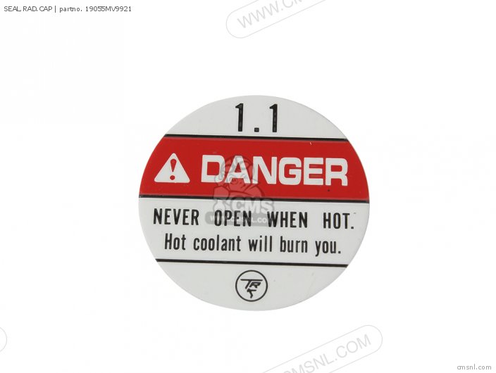 (19055MV9881) SEAL,RAD.CAP