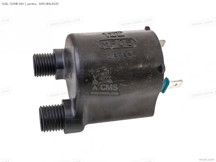 (30510ZG8003) COIL COMP,IGN