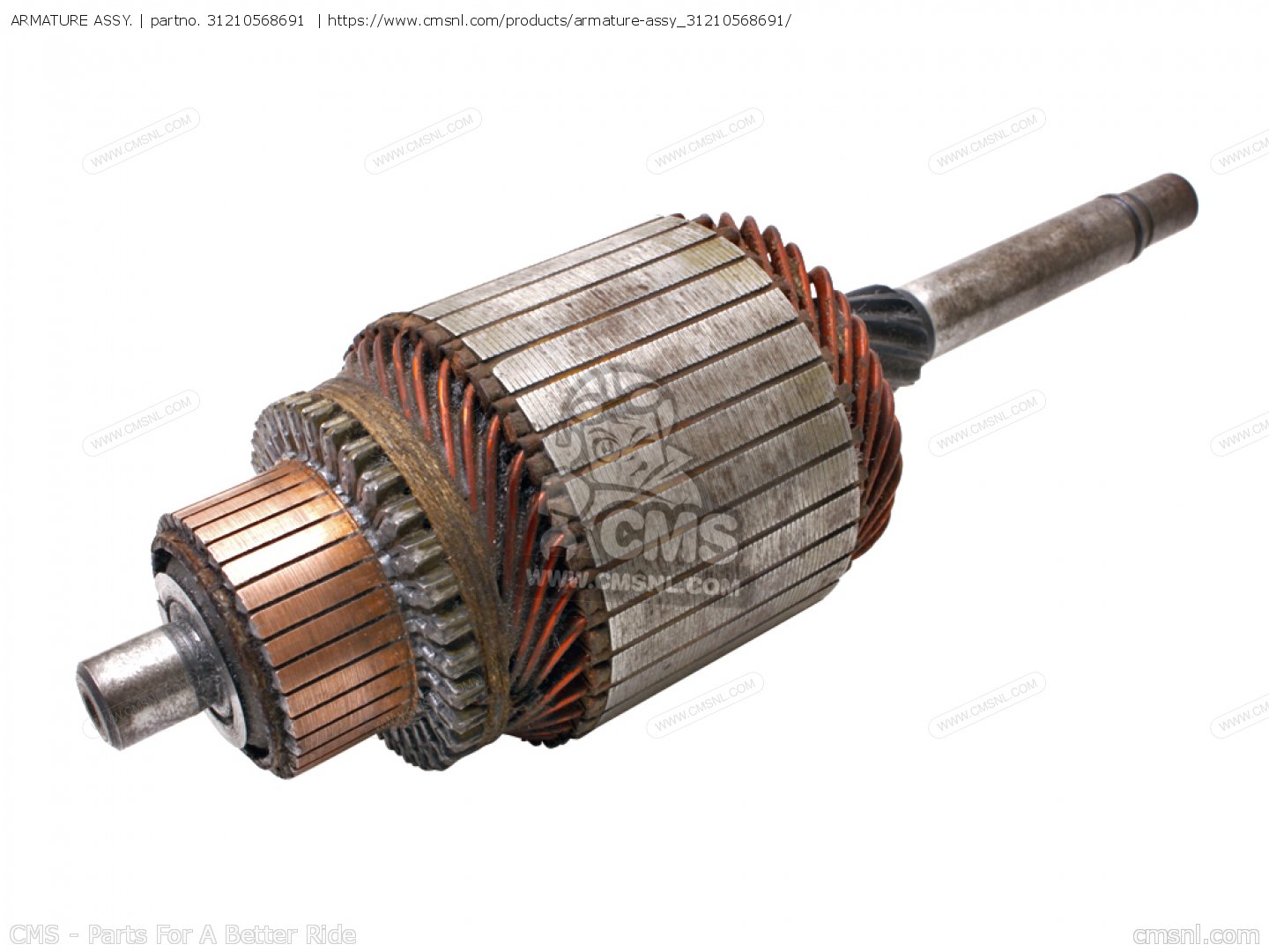 Armature Line Definition at Andrew Ellis blog