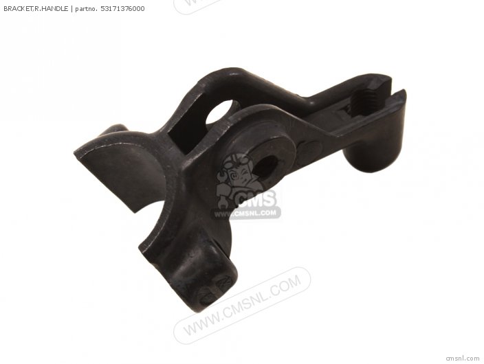 (53171429770) BRACKET,R.HANDLE