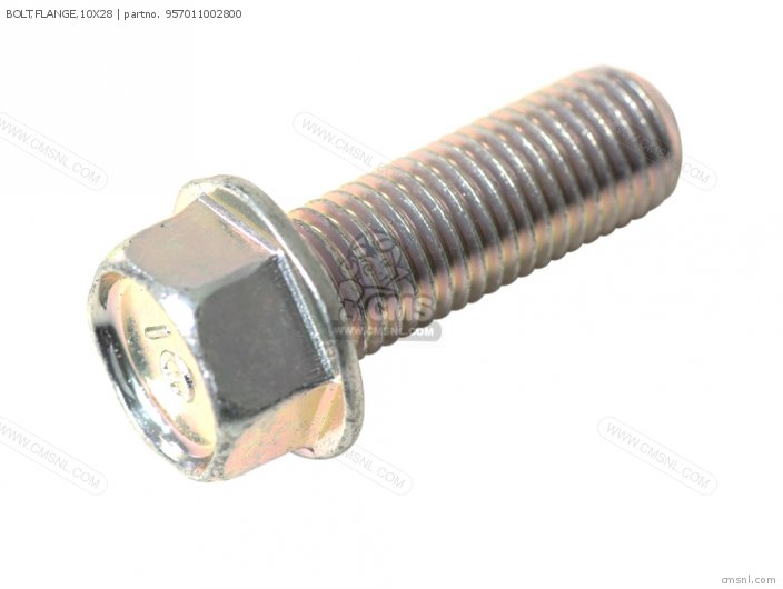 BOLT,FLANGE,10X28