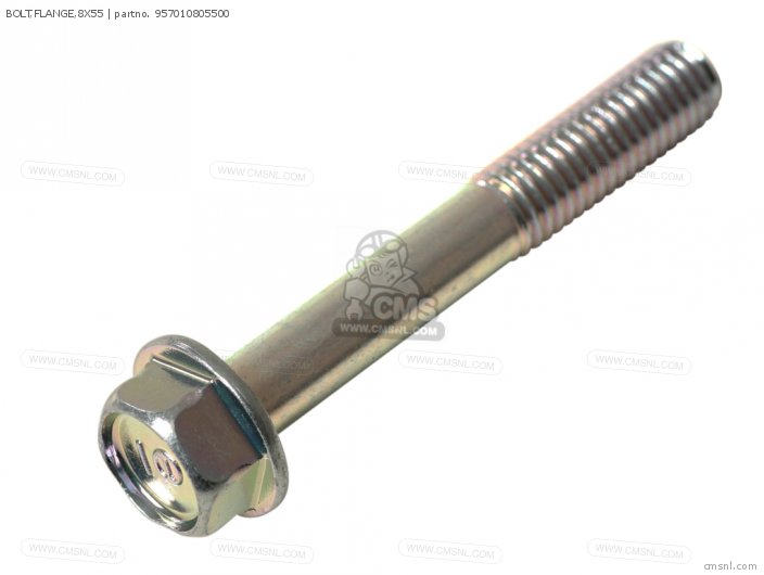 BOLT,FLANGE,8X55