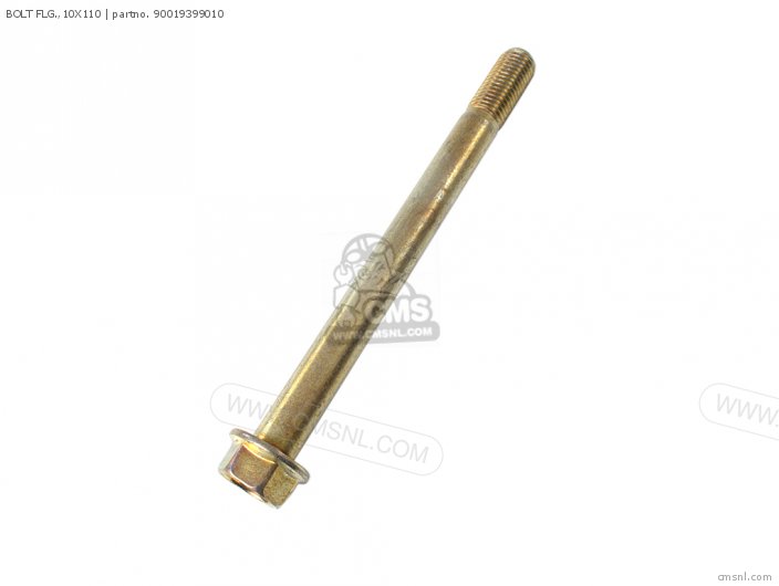 BOLT FLG.,10X110