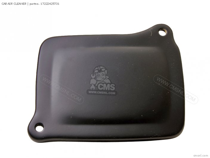 CAP,AIR CLEANER
