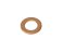 Gasket 8 2x14x1 0