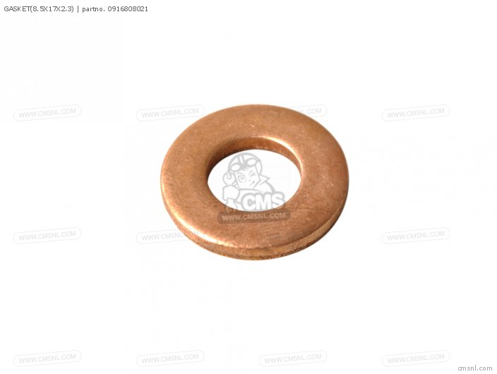 GASKET 8 5X17X2 3