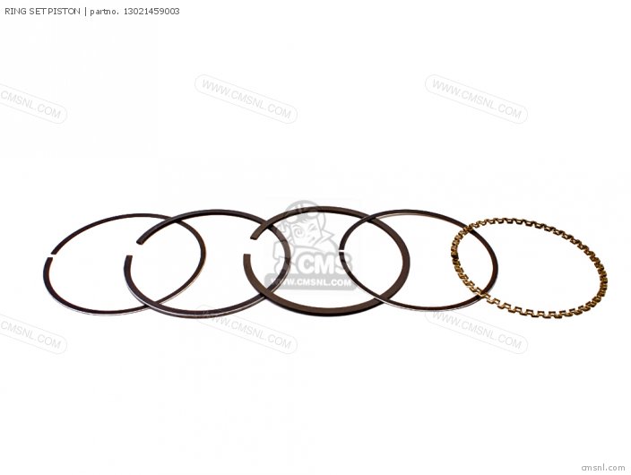 (13021439005) RING SET PISTON