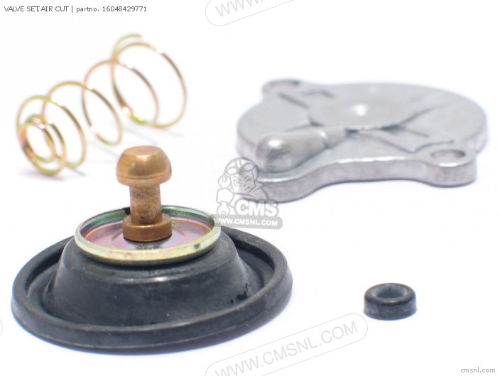 (16048443901) VALVE SET,AIR CUT