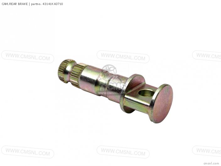 CAM,REAR BRAKE