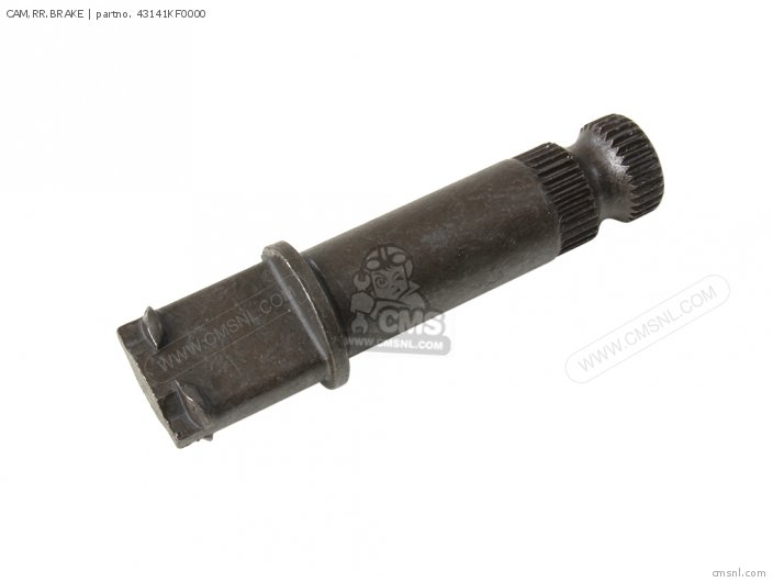 CAM,RR.BRAKE