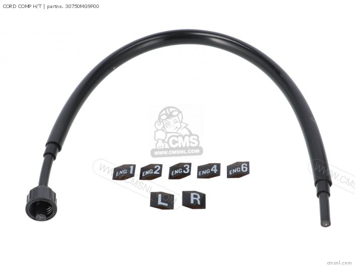 CORD COMP H/T