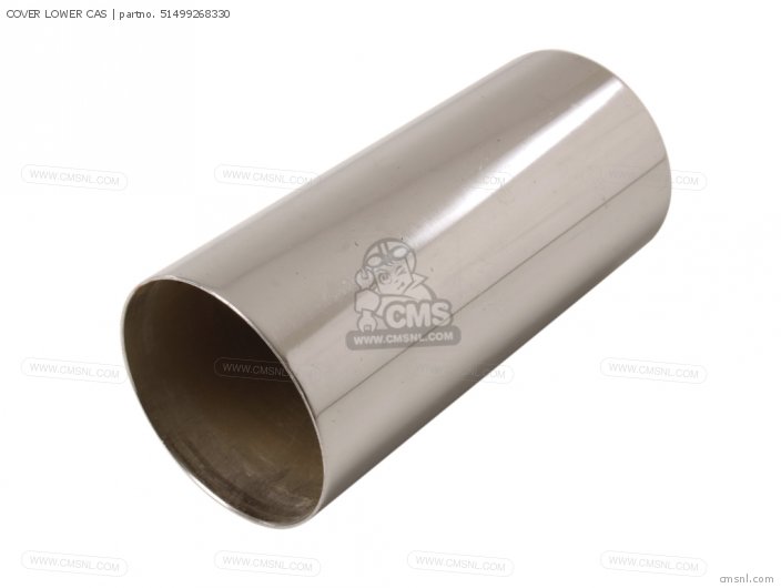 COVER LOWER CAS