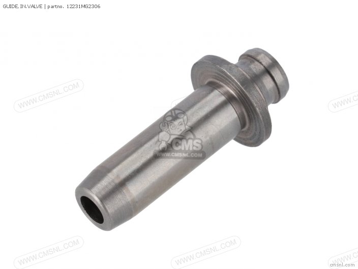 GUIDE,IN.VALVE