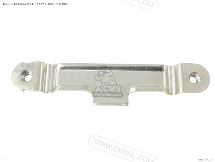 HOLDER MUDGUARD L
