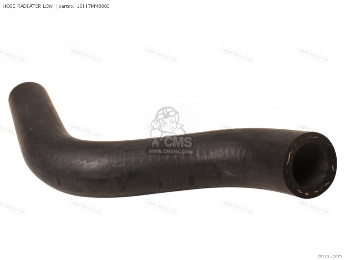 HOSE,RADIATOR LOW