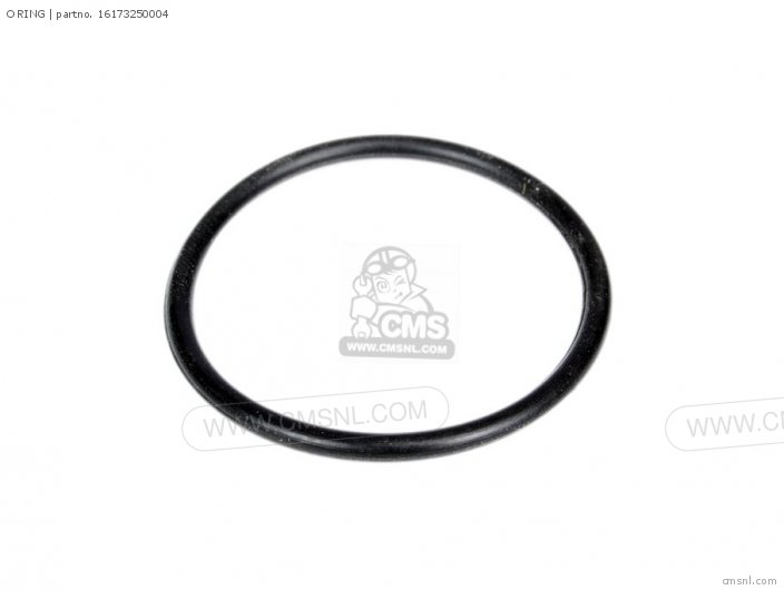 O RING