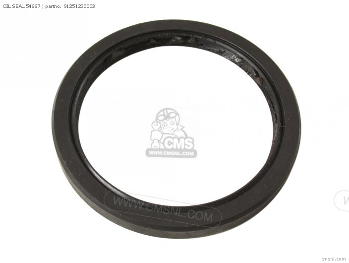 OIL SEAL,54667