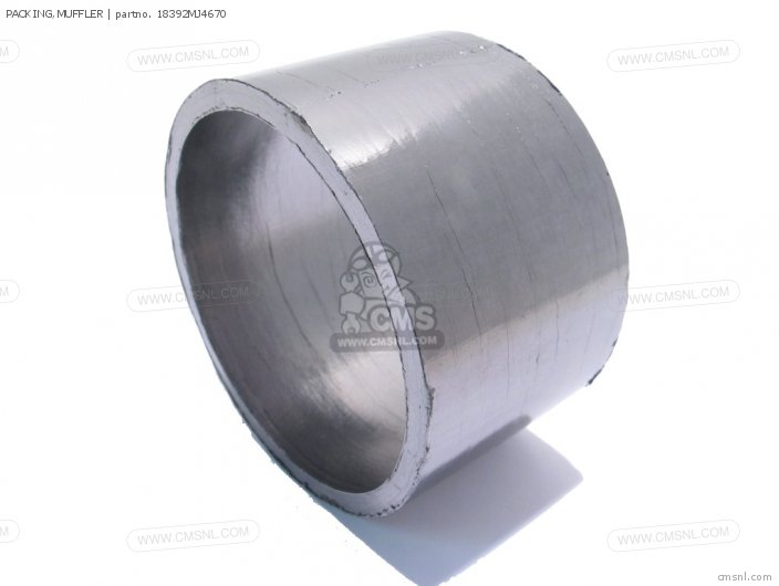PACKING,MUFFLER