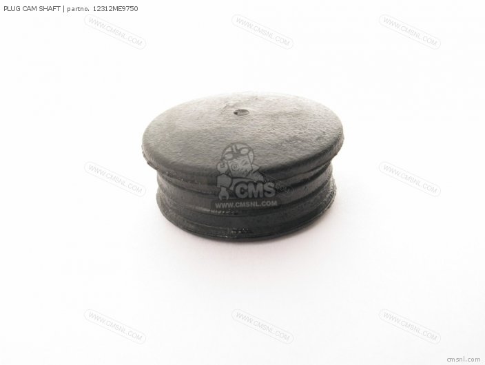 PLUG CAM SHAFT