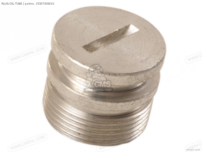 PLUG,OIL TUBE