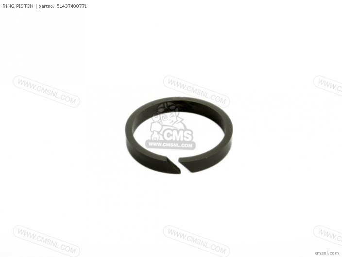 RING,PISTON