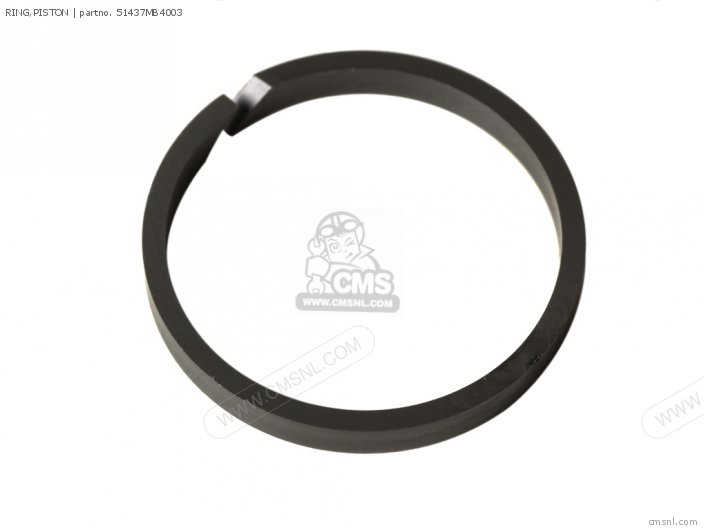 RING,PISTON