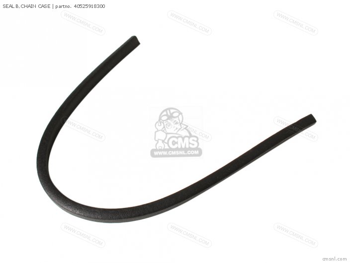 SEAL B,CHAIN CASE