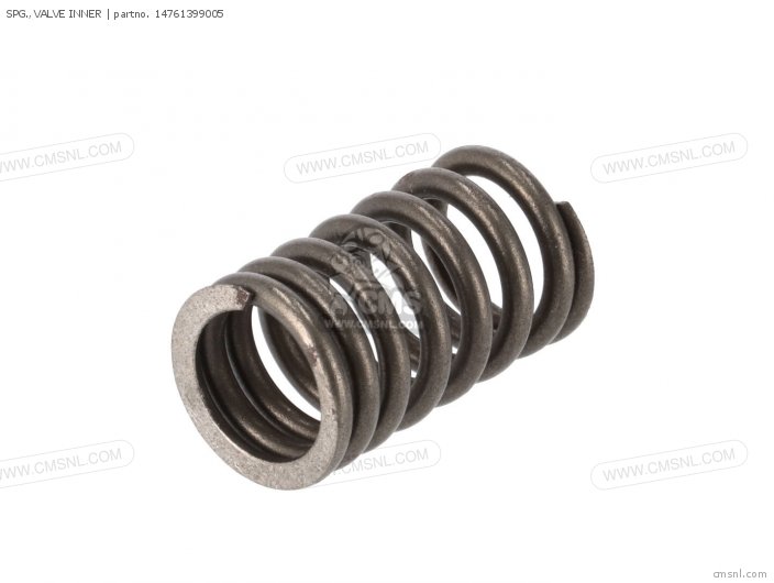 SPG.,VALVE INNER