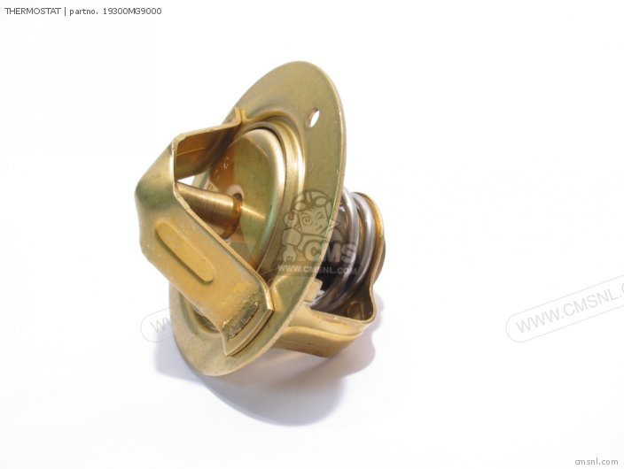 THERMOSTAT