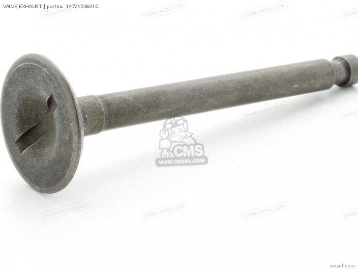 VALVE,EXHAUST