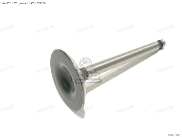 VALVE INLET