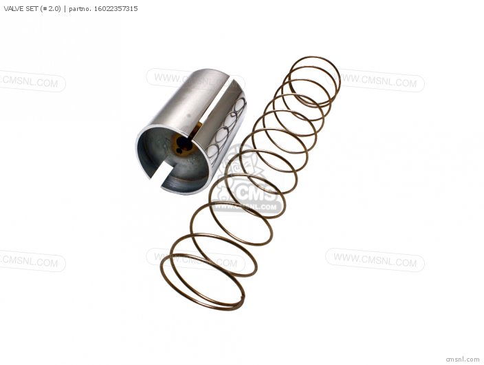 VALVE SET (#2.0)
