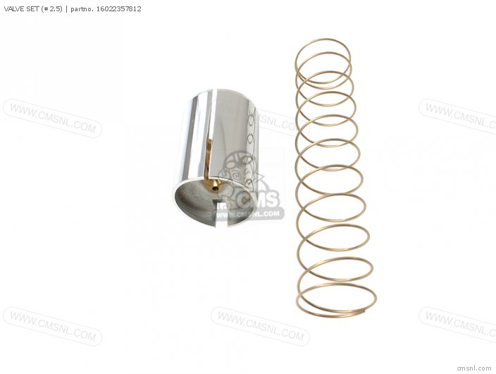 VALVE SET (#2.5)