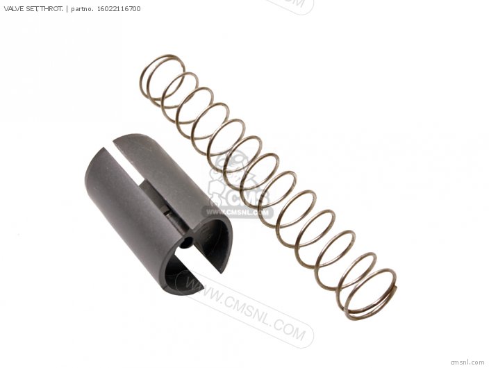 VALVE SET,THROT.