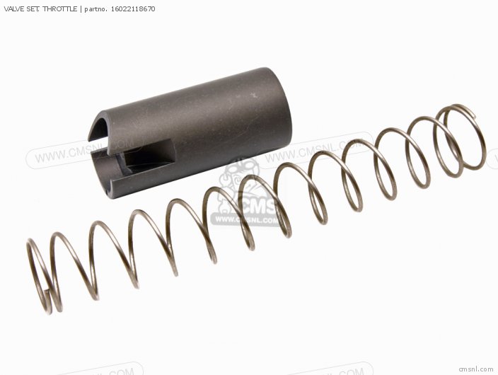 VALVE SET, THROTTLE