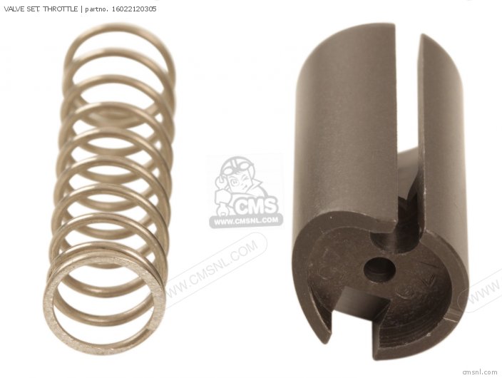 VALVE SET, THROTTLE