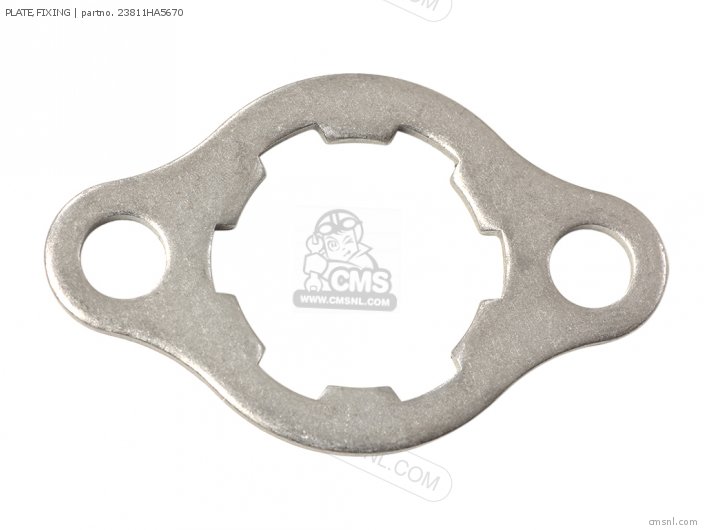 PLATE,FIXING