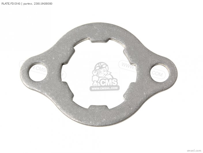 PLATE,FIXING