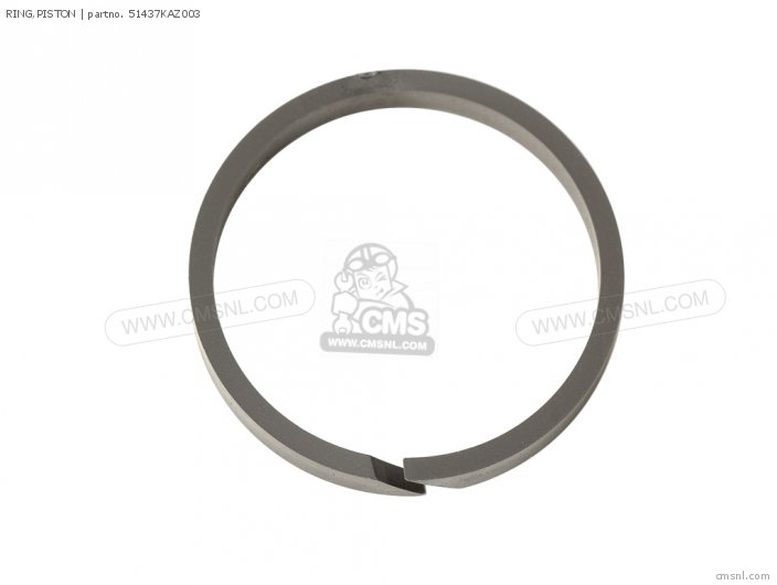 RING,PISTON