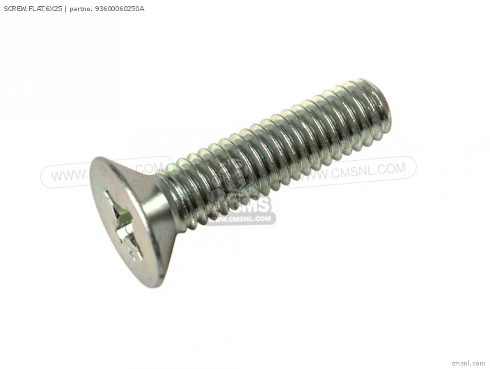 SCREW,FLAT,6X25