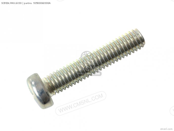 SCREW,PAN,6X30