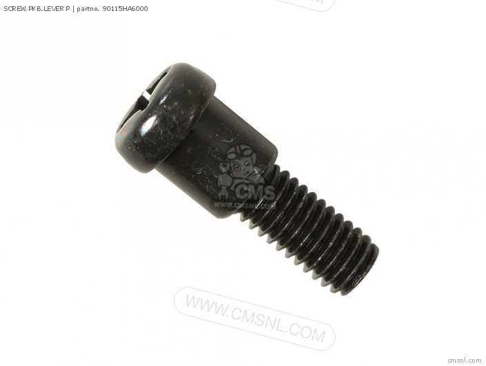 SCREW,PKB.LEVER P