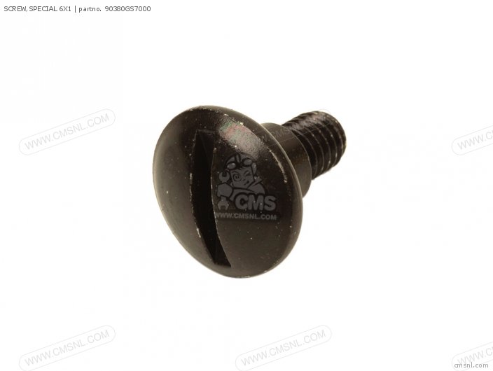 SCREW,SPECIAL 6X1